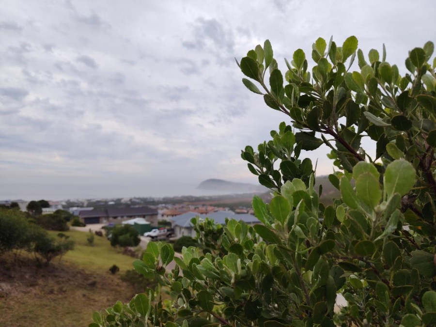 0 Bedroom Property for Sale in Robberg Ridge Western Cape